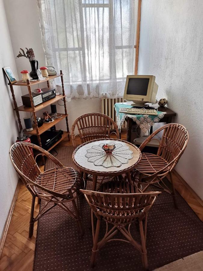 Vila Milica Kraljevo Exteriör bild