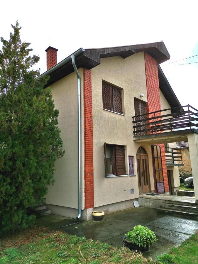 Vila Milica Kraljevo Exteriör bild