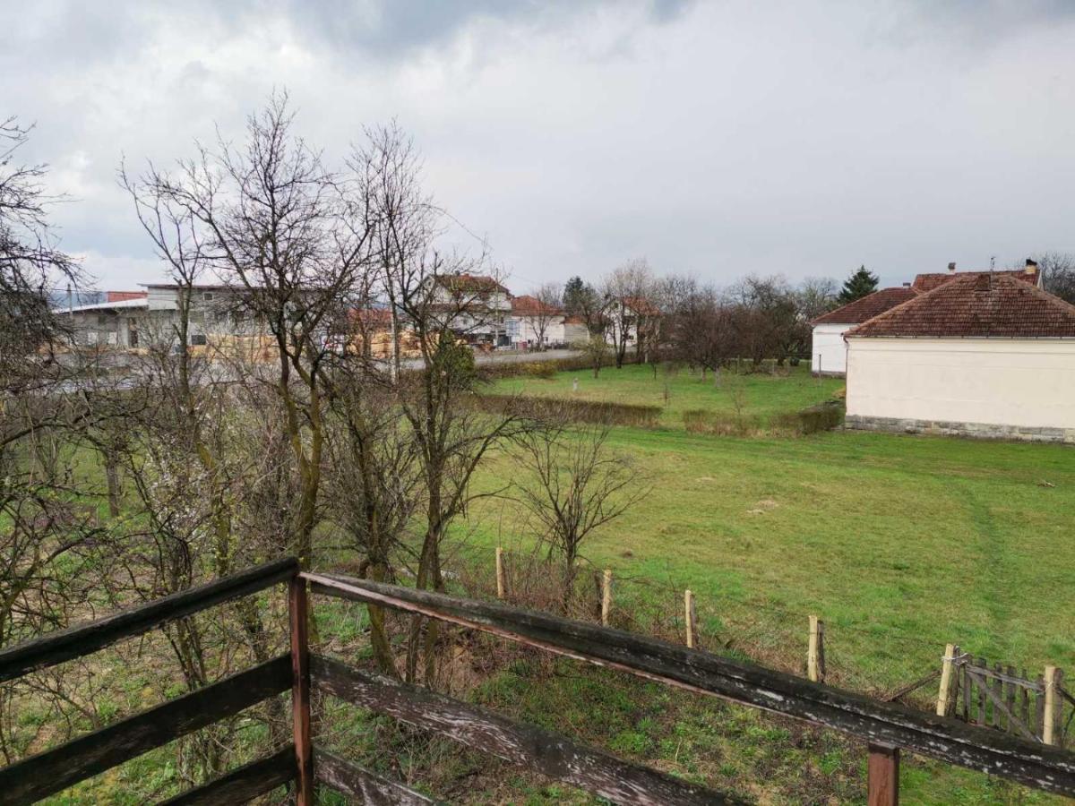 Vila Milica Kraljevo Exteriör bild
