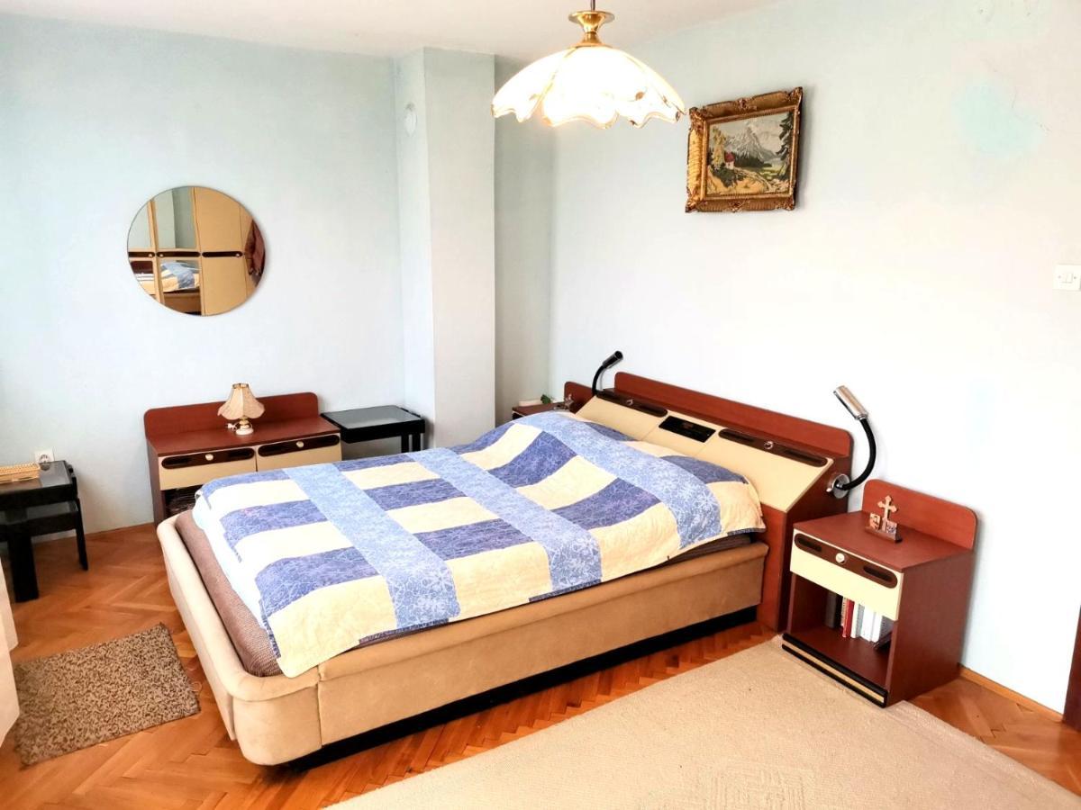 Vila Milica Kraljevo Exteriör bild