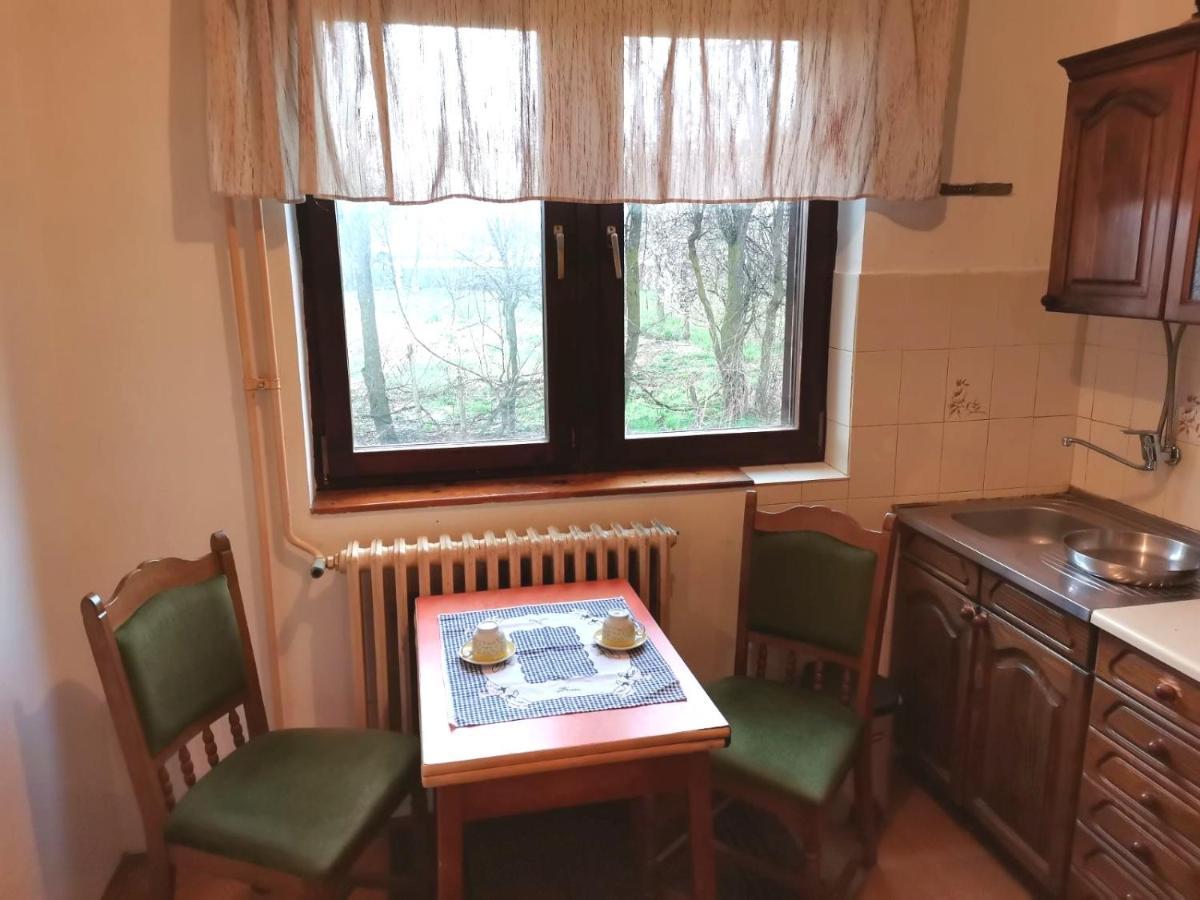 Vila Milica Kraljevo Exteriör bild