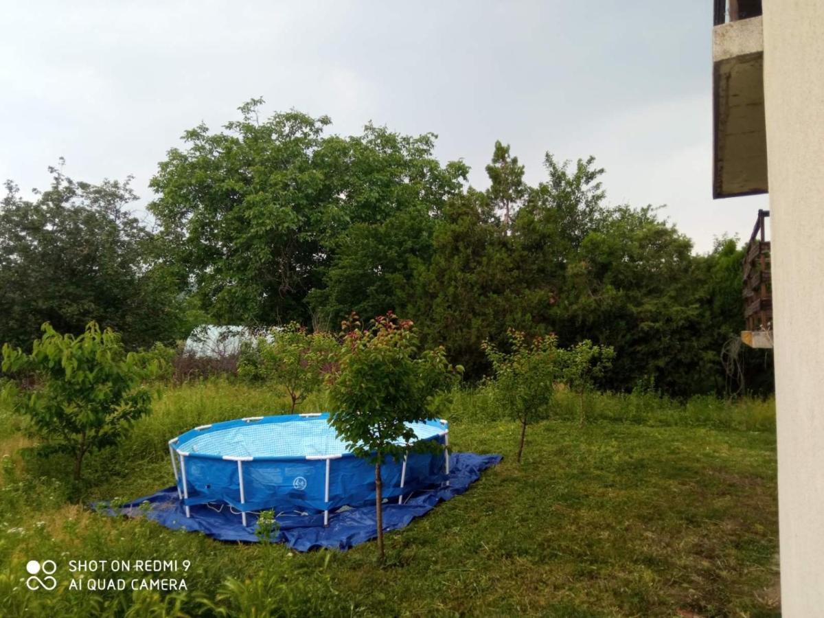 Vila Milica Kraljevo Exteriör bild