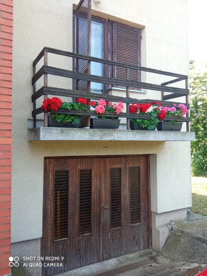 Vila Milica Kraljevo Exteriör bild